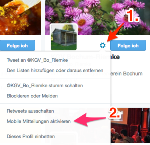 Bild zeigt wie bei Twitter die mobilen Mitteilungen aktivieren werden können.