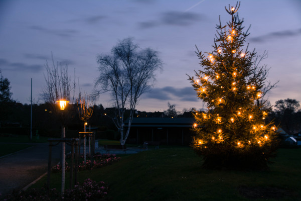 Beleuchteter Weihnachtsbaum und im Hintergrund ist die Riemker Hütte