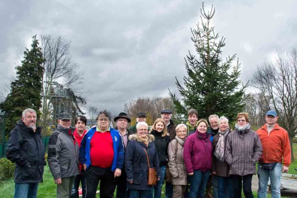 Weihnachgtsbaumaufstellen-kgv