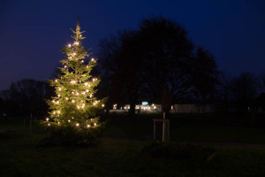 Zu sehen ist ein beleuchteter Weichnachtsbaum vom KGV Bochum Riemke. Im Hintergrund das Vereinshaus.