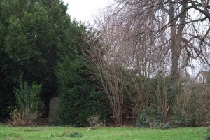 verwachsener Platz um den Heinrich-Hufendiek-Gedenkstein