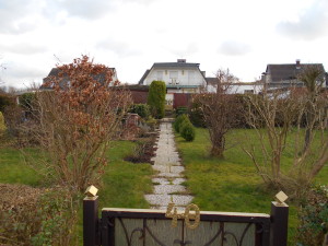 Blick in den Garten in die Kirschenallee 40
