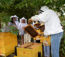 Sommerfest_004