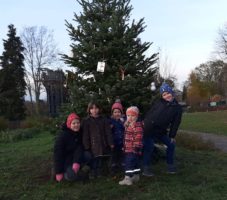 Baum_2019_4