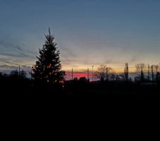 Baum_2019_8