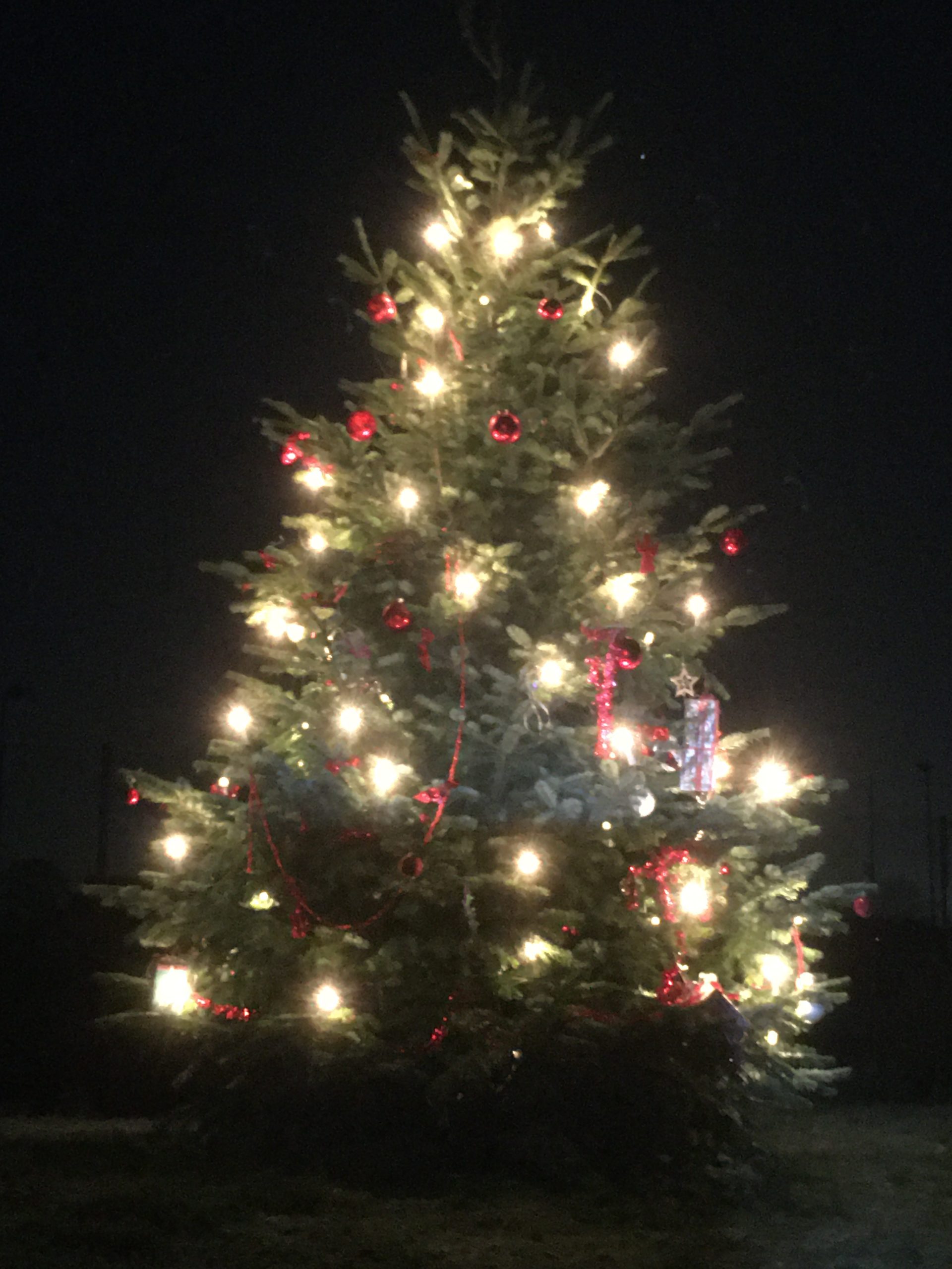 Weihnahtsbaum 2019