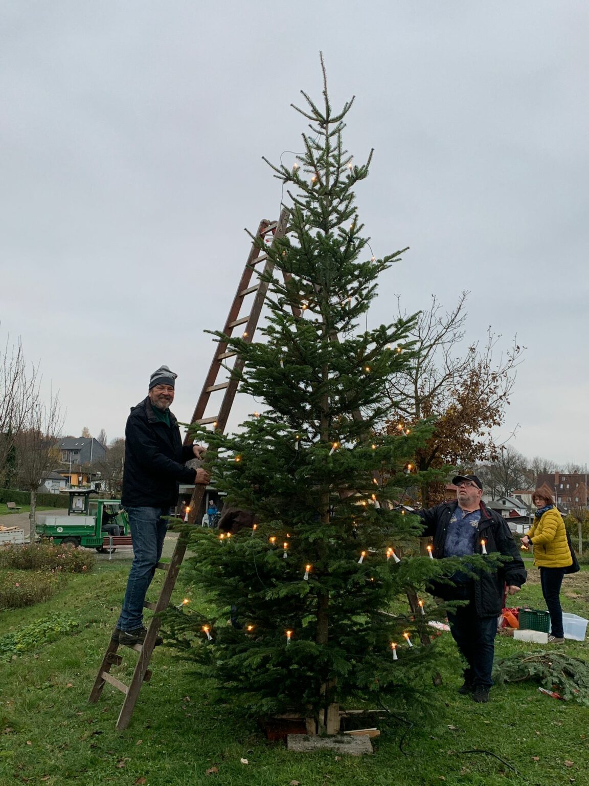 Traditionelles Weihnachtsbaum aufstellen Kleingartenverein Bochum